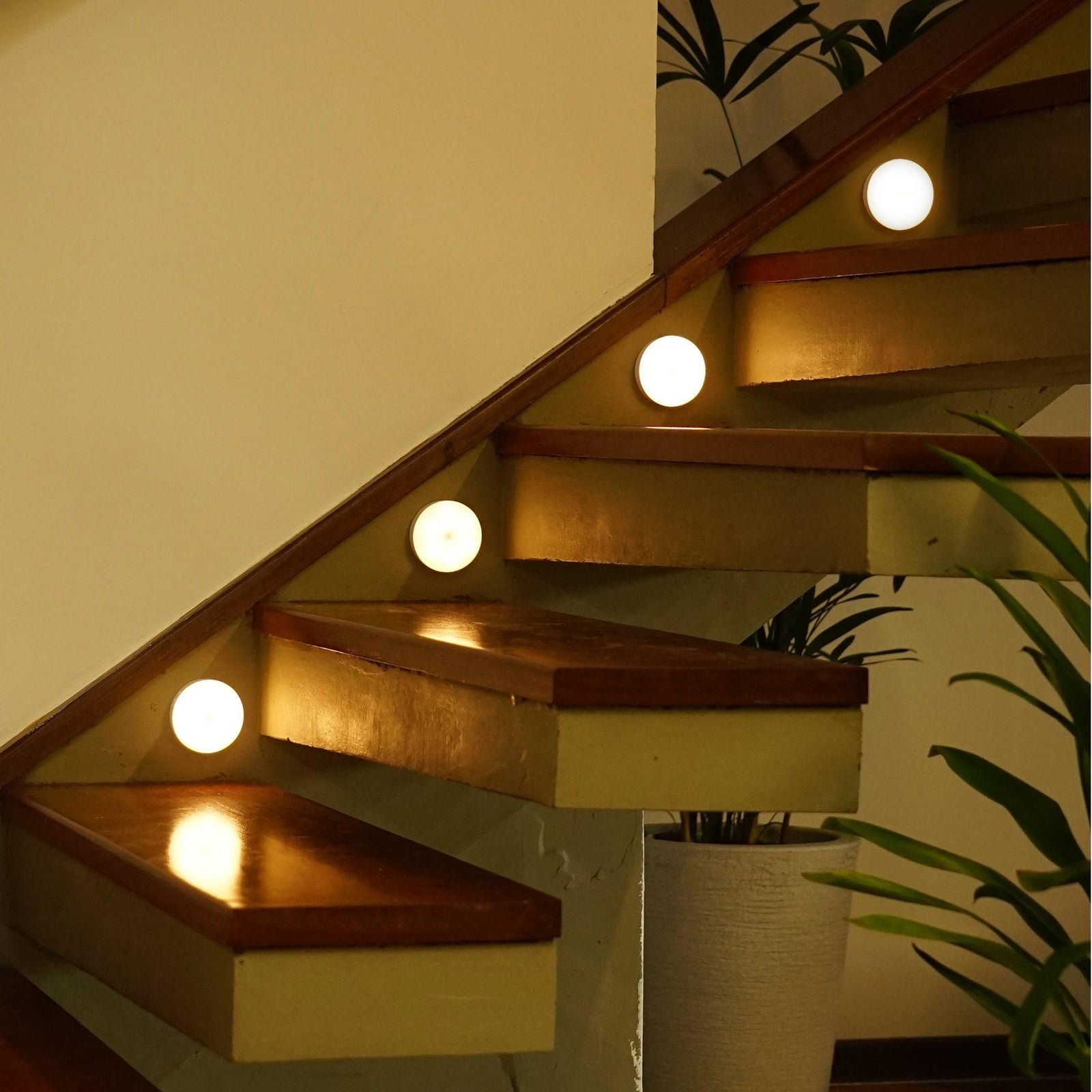 Motion Sensor Night Light | Luzinha - Momo Lifestyle -<span style="background-color:rgb(246,247,248);color:rgb(28,30,33);"> Momo Lifestyle </span>